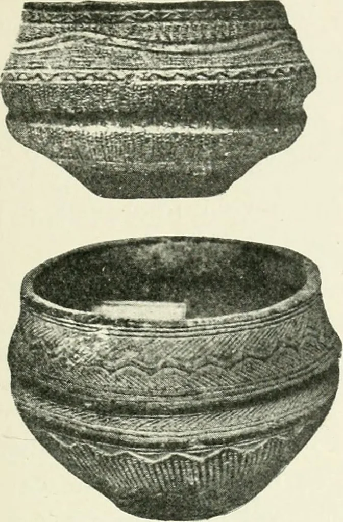 An illustration from An introduction to the study of prehistoric art, 1915, leaf 236