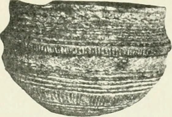 An illustration from An introduction to the study of prehistoric art, 1915, leaf 236