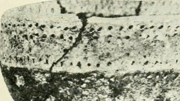 An illustration from An introduction to the study of prehistoric art, 1915, leaf 236