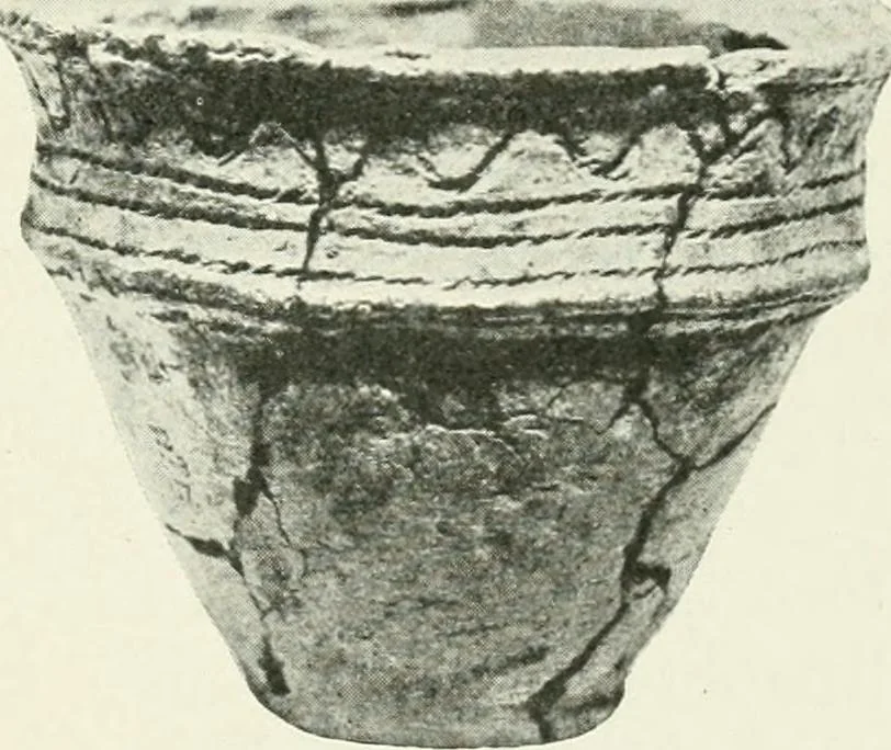 An illustration from An introduction to the study of prehistoric art, 1915, leaf 236