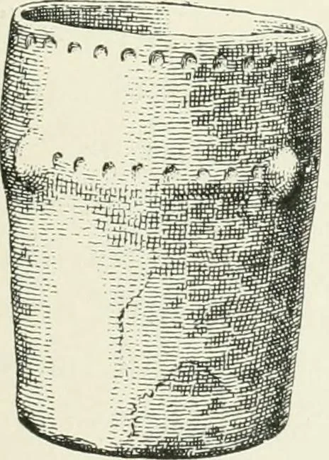 An illustration from An introduction to the study of prehistoric art, 1915, leaf 238