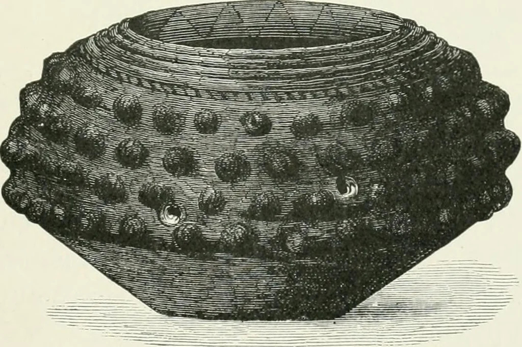 An illustration from An introduction to the study of prehistoric art, 1915, leaf 240