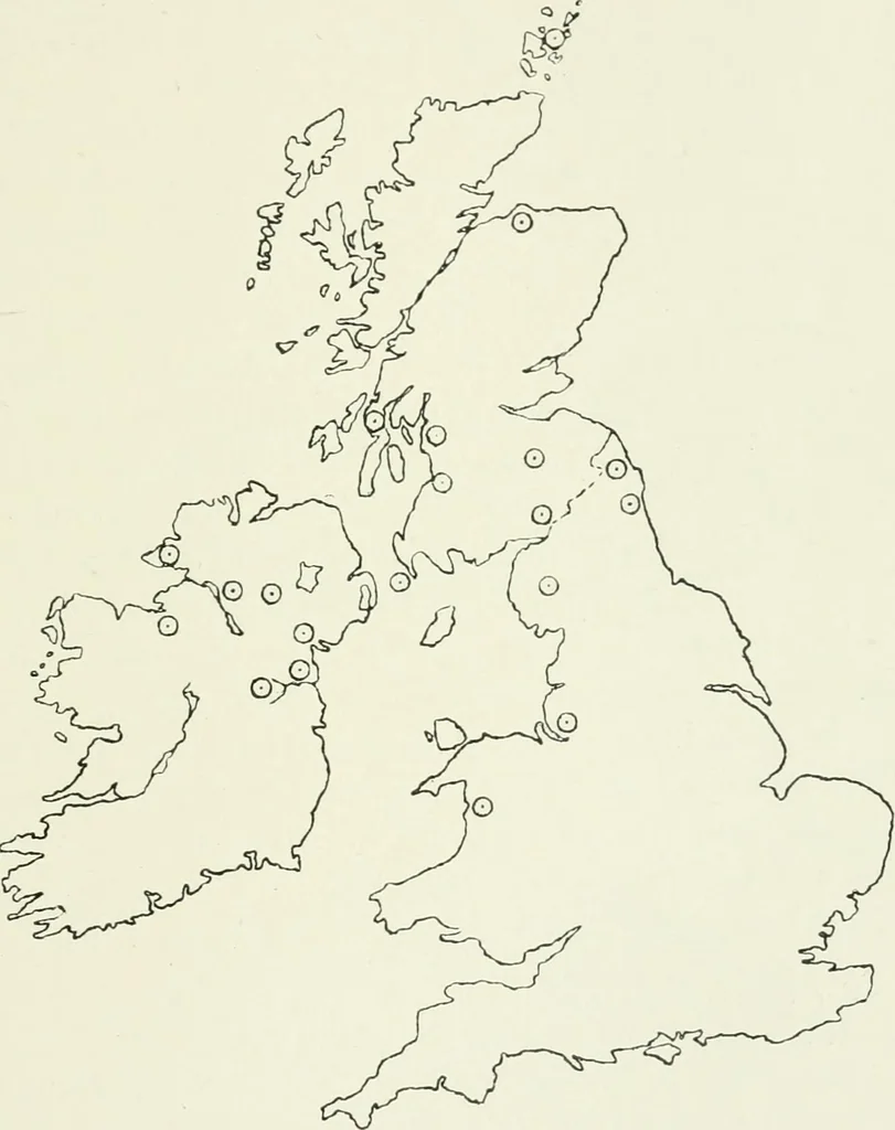An illustration from An introduction to the study of prehistoric art, 1915, leaf 248