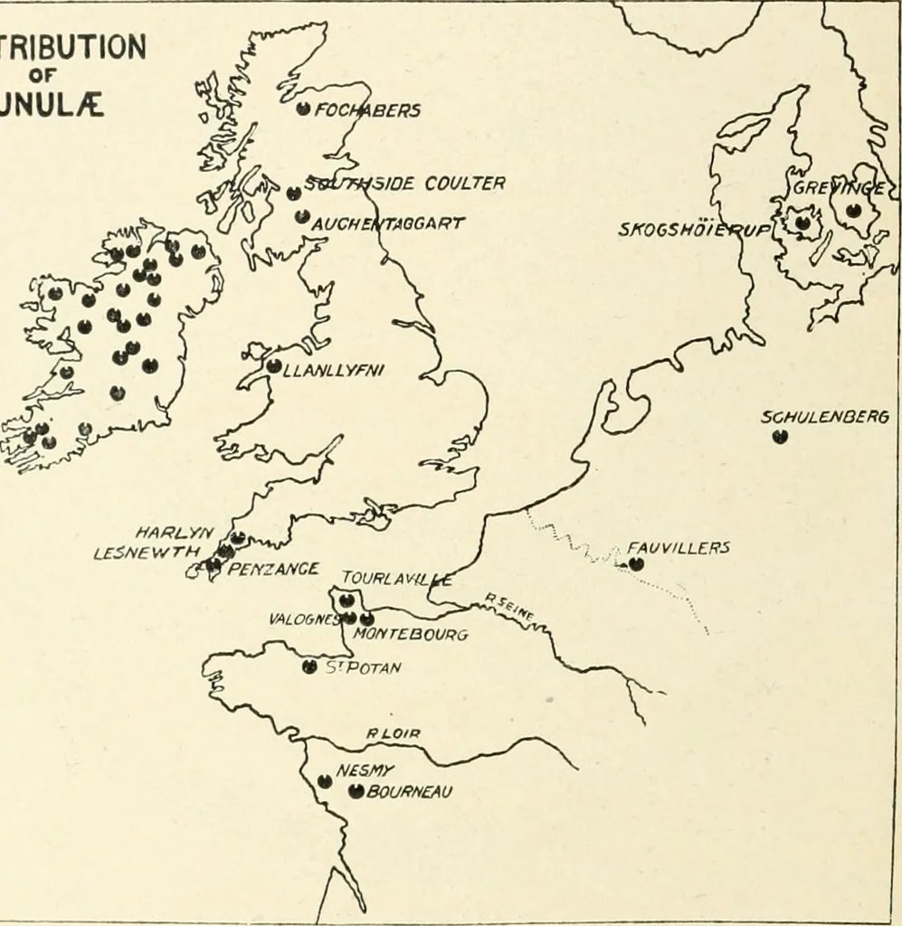 An illustration from An introduction to the study of prehistoric art, 1915, leaf 273