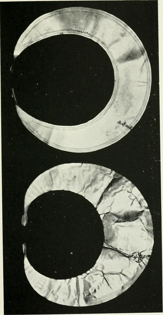 An illustration from An introduction to the study of prehistoric art, 1915, leaf 274