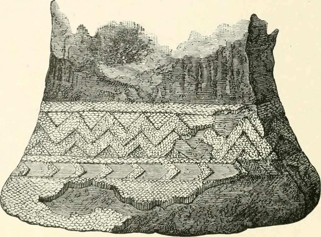 An illustration from An introduction to the study of prehistoric art, 1915, leaf 289