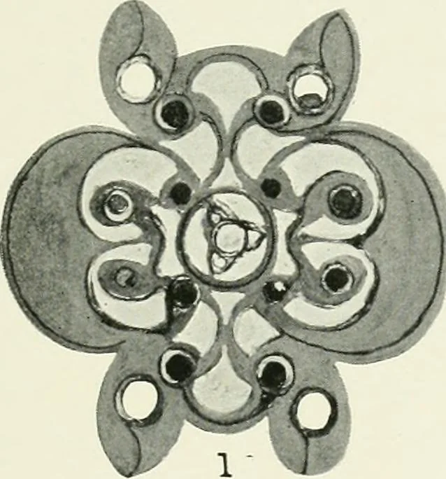 An illustration from An introduction to the study of prehistoric art, 1915, leaf 348