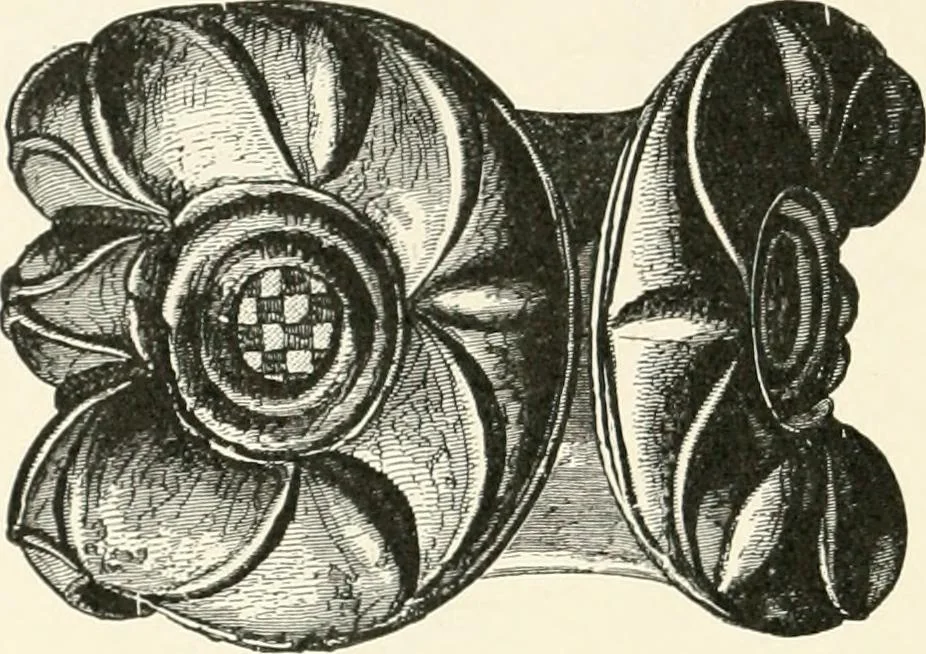 An illustration from An introduction to the study of prehistoric art, 1915, leaf 351