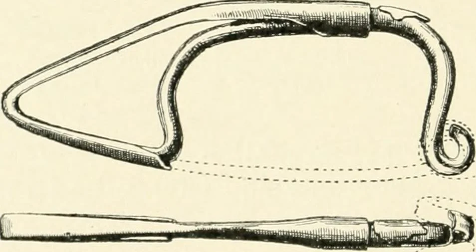 An illustration from An introduction to the study of prehistoric art, 1915, leaf 363