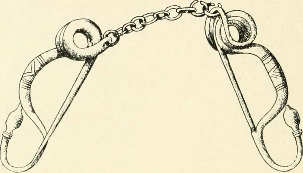 An illustration from An introduction to the study of prehistoric art, 1915, leaf 367