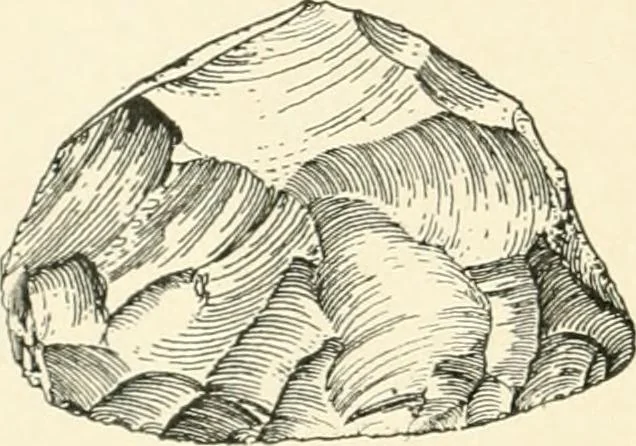 An illustration from An introduction to the study of prehistoric art, 1915, leaf 37