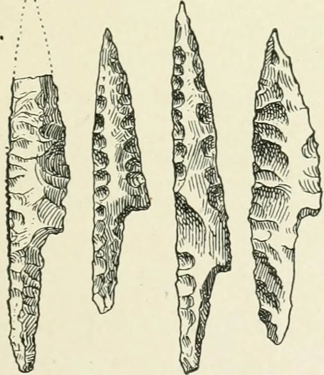 An illustration from An introduction to the study of prehistoric art, 1915, leaf 38