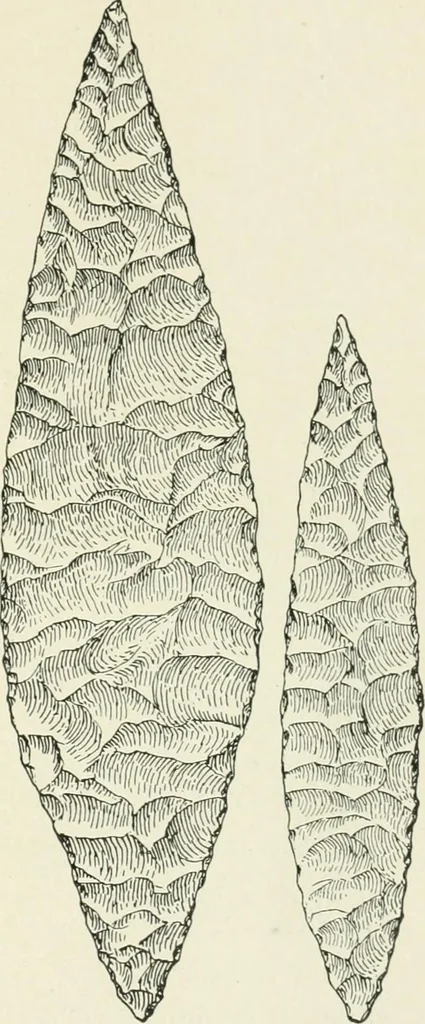 An illustration from An introduction to the study of prehistoric art, 1915, leaf 38