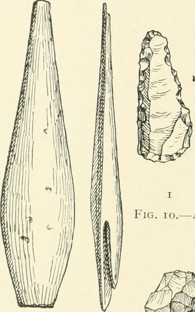 An illustration from An introduction to the study of prehistoric art, 1915, leaf 39