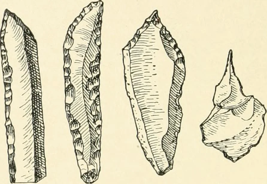 An illustration from An introduction to the study of prehistoric art, 1915, leaf 39