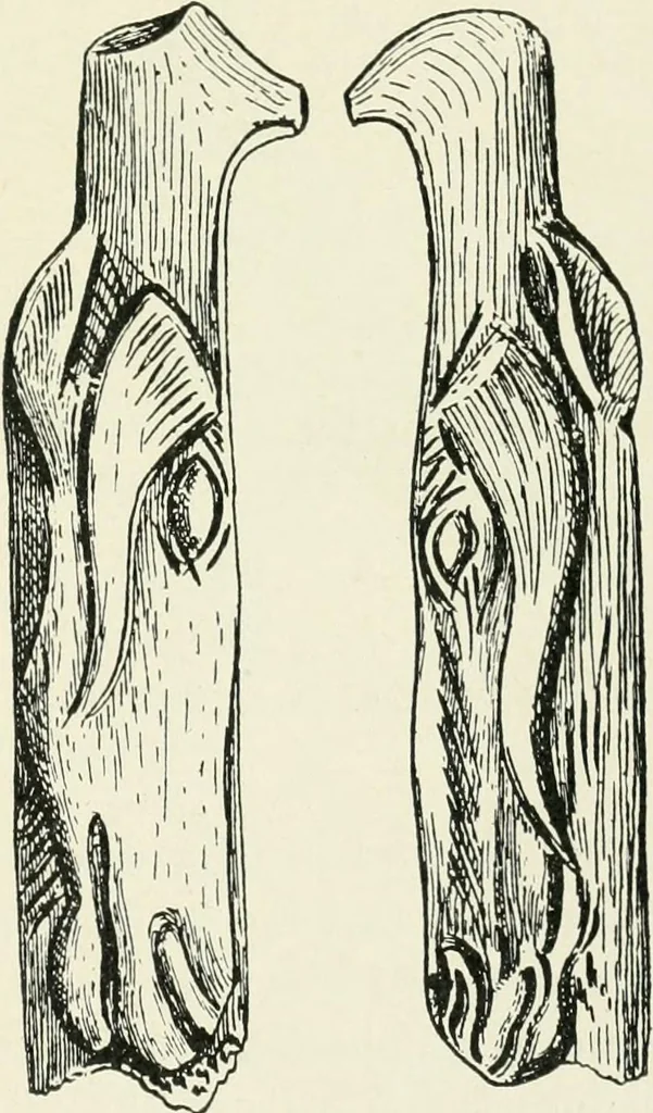 An illustration from An introduction to the study of prehistoric art, 1915, leaf 48