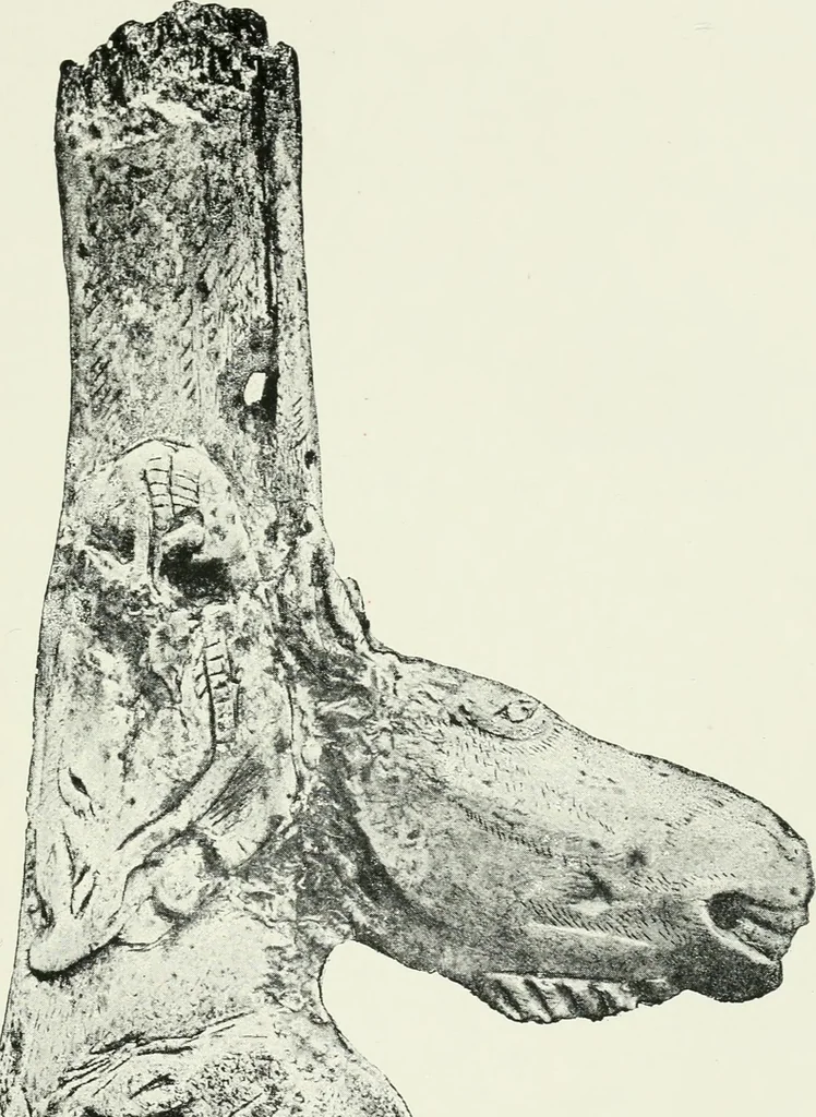 An illustration from An introduction to the study of prehistoric art, 1915, leaf 52