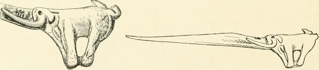 An illustration from An introduction to the study of prehistoric art, 1915, leaf 55