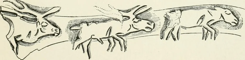 An illustration from An introduction to the study of prehistoric art, 1915, leaf 58
