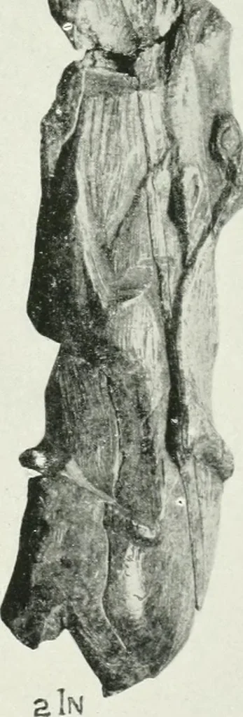 An illustration from An introduction to the study of prehistoric art, 1915, leaf 60