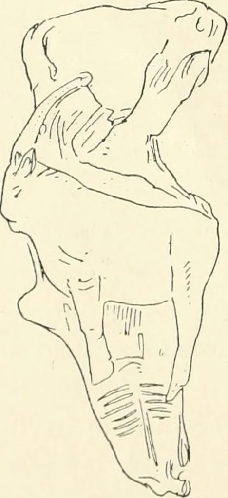 An illustration from An introduction to the study of prehistoric art, 1915, leaf 63