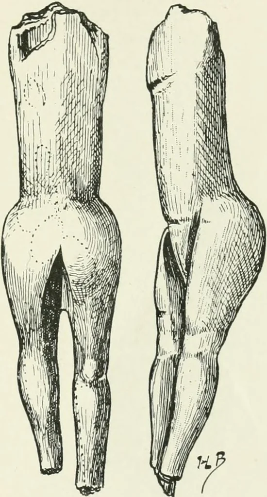 An illustration from An introduction to the study of prehistoric art, 1915, leaf 64