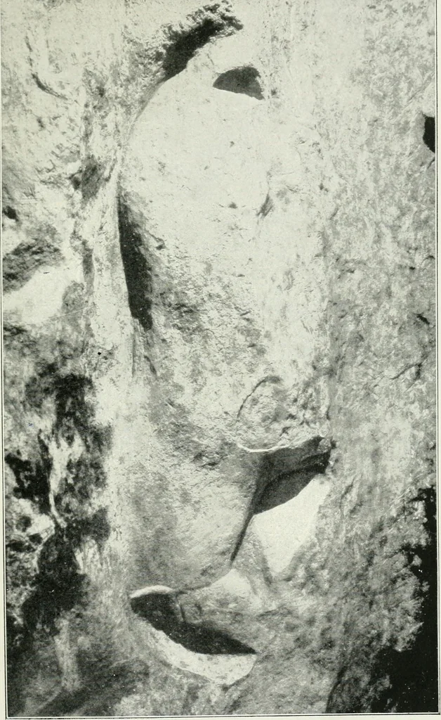 An illustration from An introduction to the study of prehistoric art, 1915, leaf 70