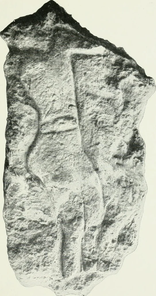 An illustration from An introduction to the study of prehistoric art, 1915, leaf 76