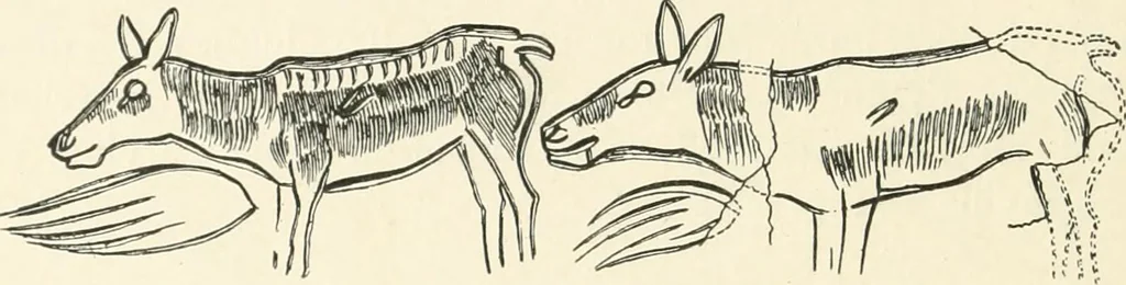 An illustration from An introduction to the study of prehistoric art, 1915, leaf 83