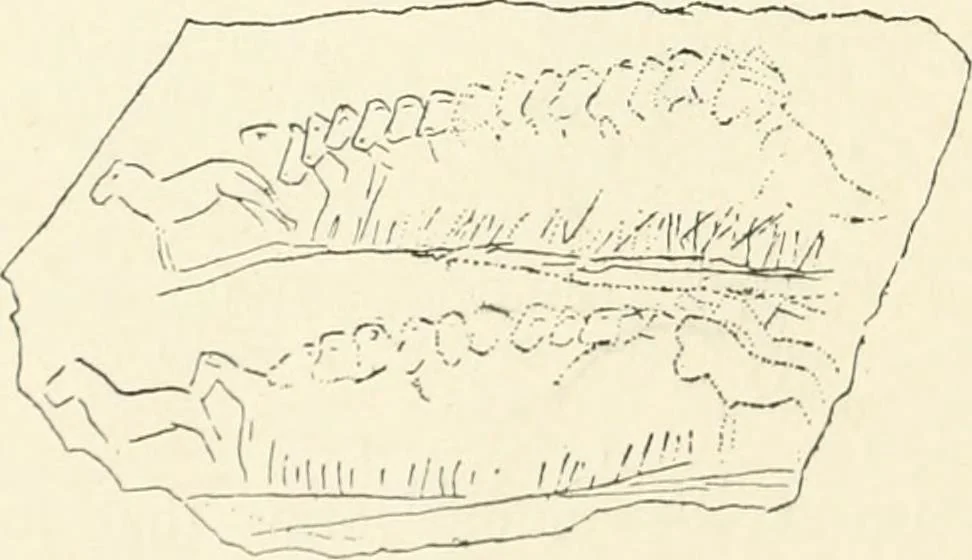 An illustration from An introduction to the study of prehistoric art, 1915, leaf 83