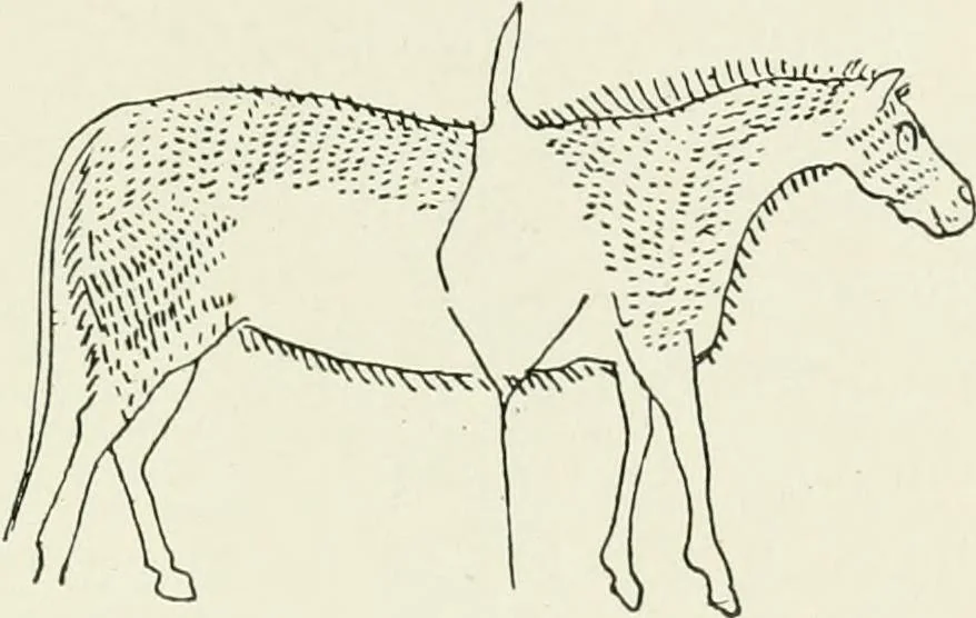 An illustration from An introduction to the study of prehistoric art, 1915, leaf 86