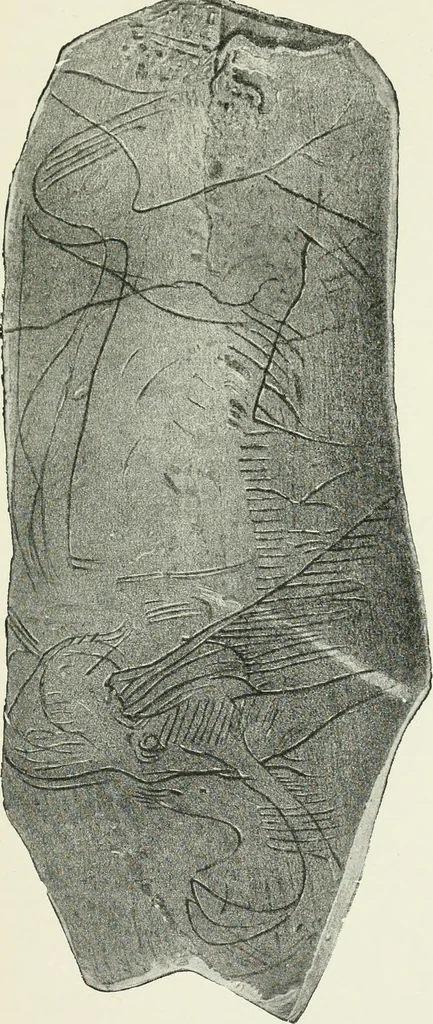 An illustration from An introduction to the study of prehistoric art, 1915, leaf 88