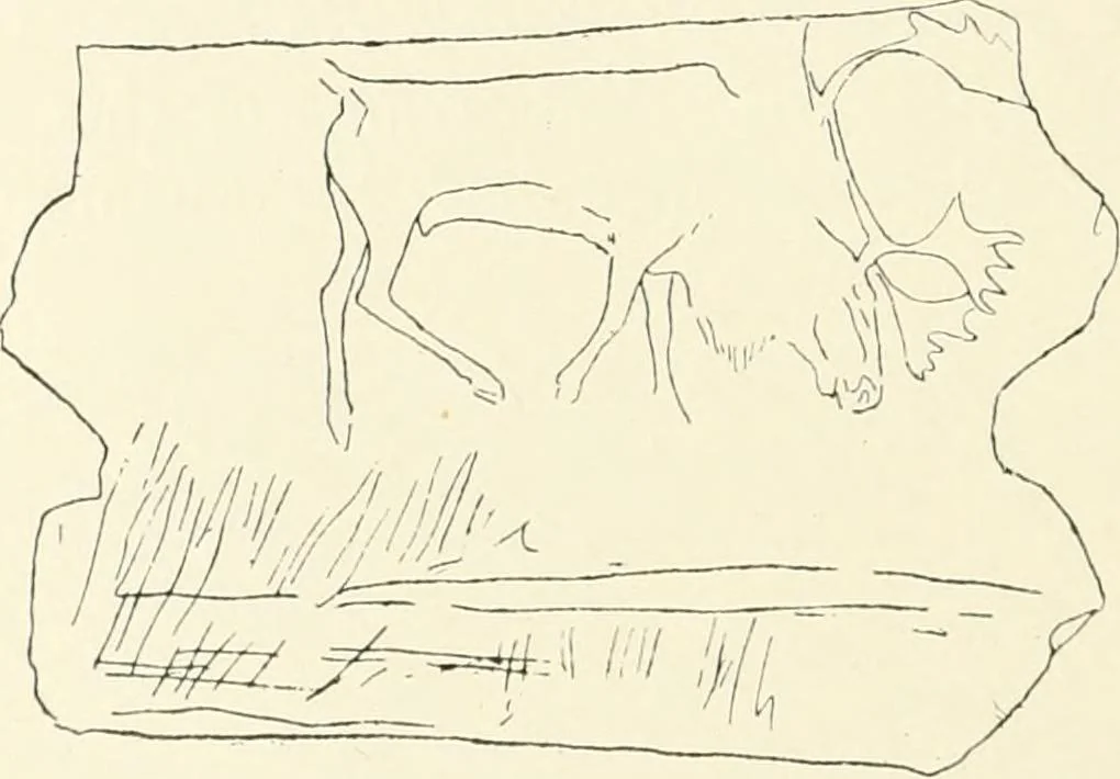 An illustration from An introduction to the study of prehistoric art, 1915, leaf 91
