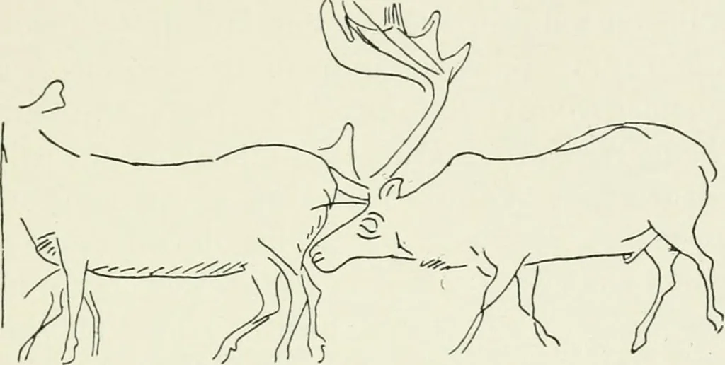 An illustration from An introduction to the study of prehistoric art, 1915, leaf 92