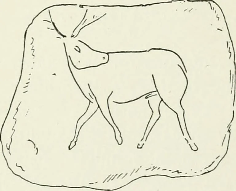 An illustration from An introduction to the study of prehistoric art, 1915, leaf 92