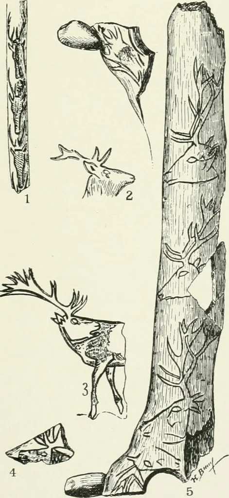 An illustration from An introduction to the study of prehistoric art, 1915, leaf 96