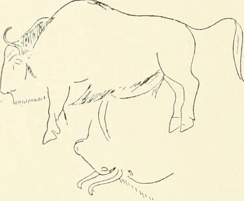 An illustration from An introduction to the study of prehistoric art, 1915, leaf 99