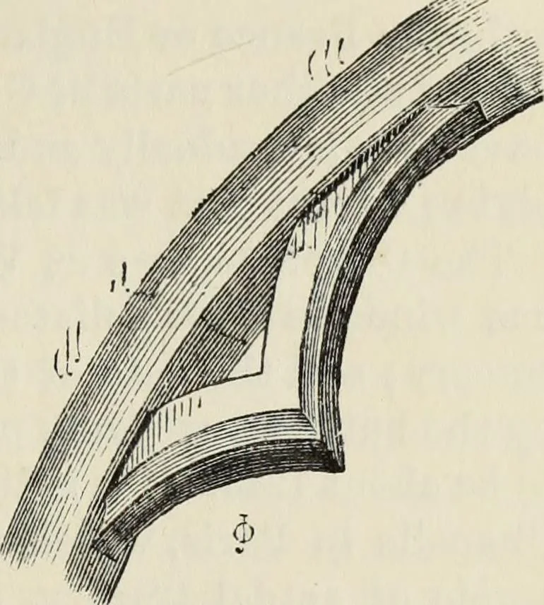 An illustration from An introduction to the study of Gothic architecture, 1877, leaf 166