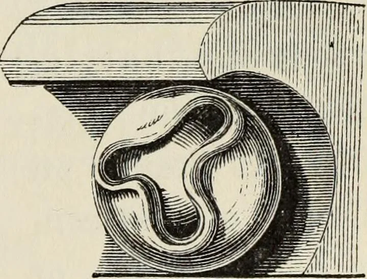 An illustration from An introduction to the study of Gothic architecture, 1877, leaf 198