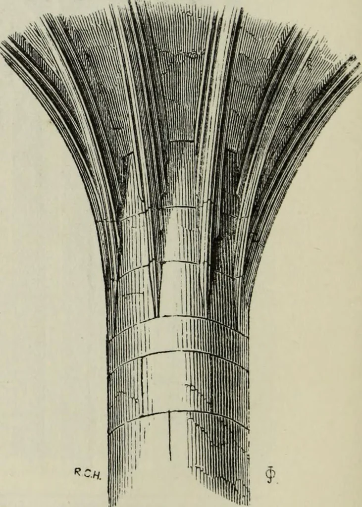 An illustration from An introduction to the study of Gothic architecture, 1877, leaf 293