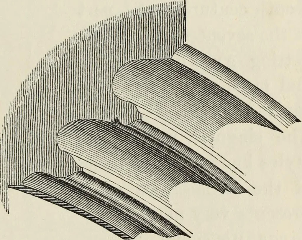 An illustration from An introduction to the study of Gothic architecture, 1877, leaf 294
