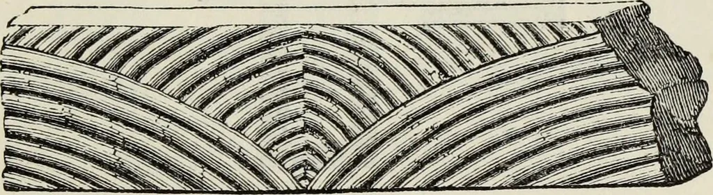 An illustration from An introduction to the study of Gothic architecture, 1877, leaf 38
