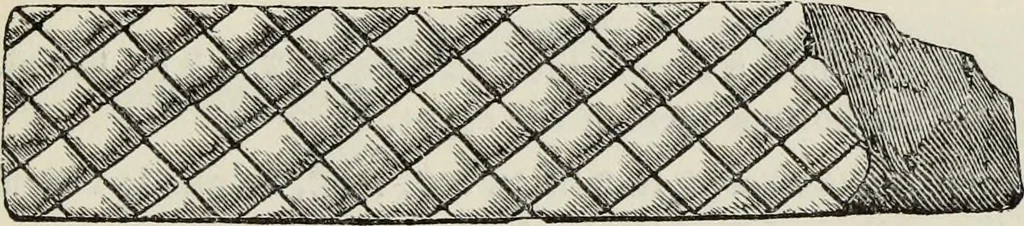 An illustration from An introduction to the study of Gothic architecture, 1877, leaf 38