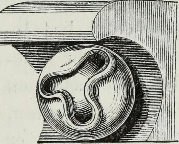 An illustration from An introduction to the study of Gothic architecture, 1881, leaf 208