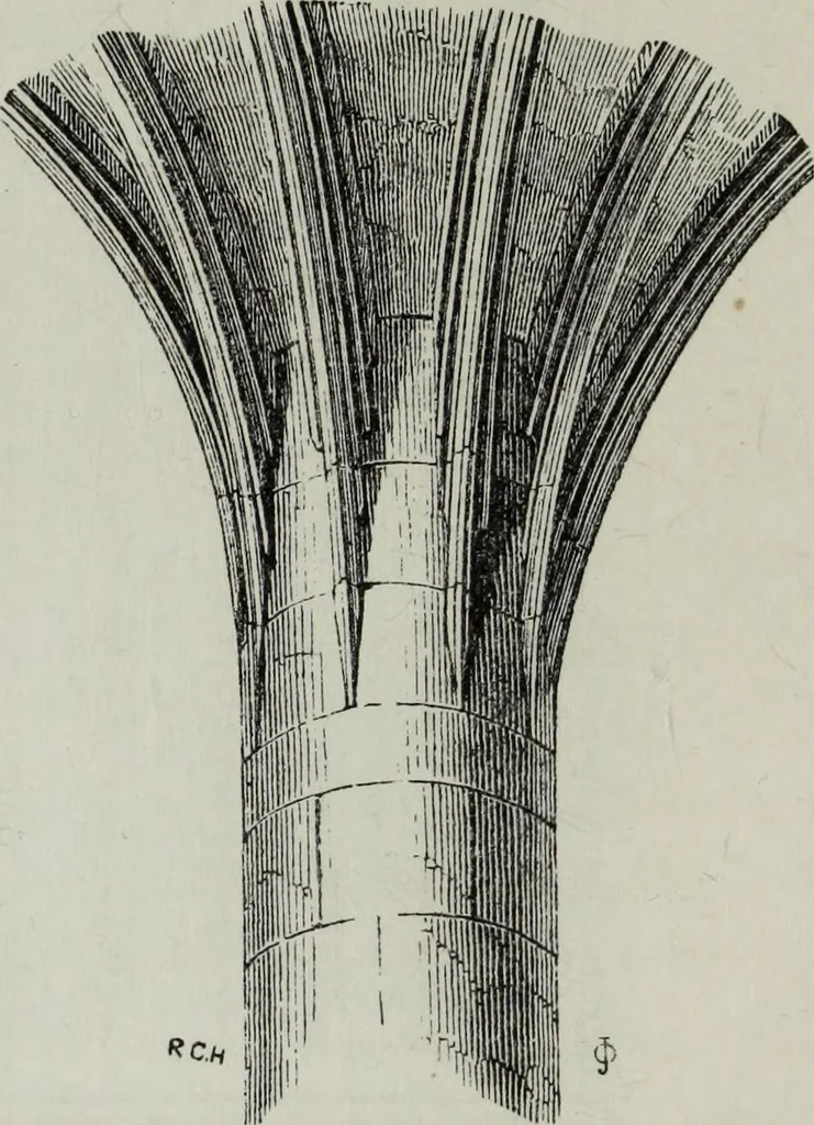 An illustration from An introduction to the study of Gothic architecture, 1881, leaf 319