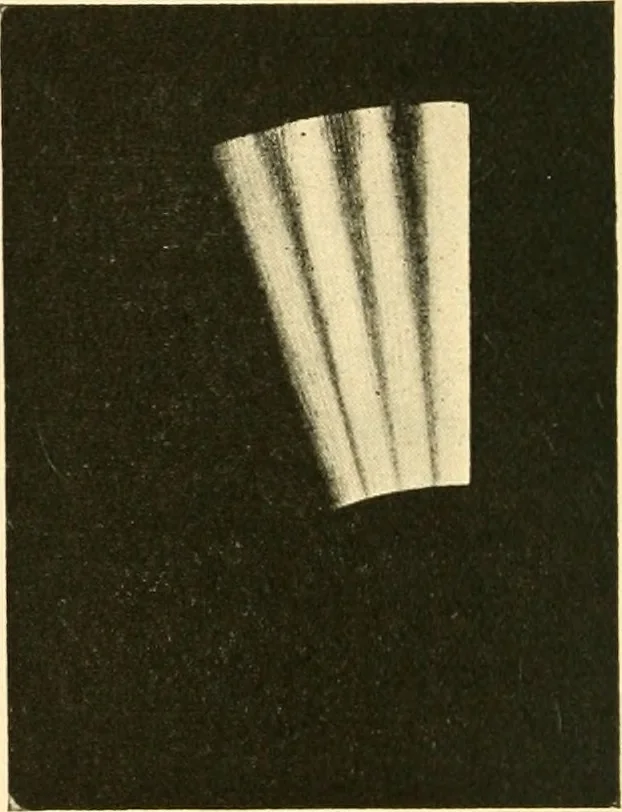 An illustration from An introduction to the study of colour vision, 1915, leaf 103
