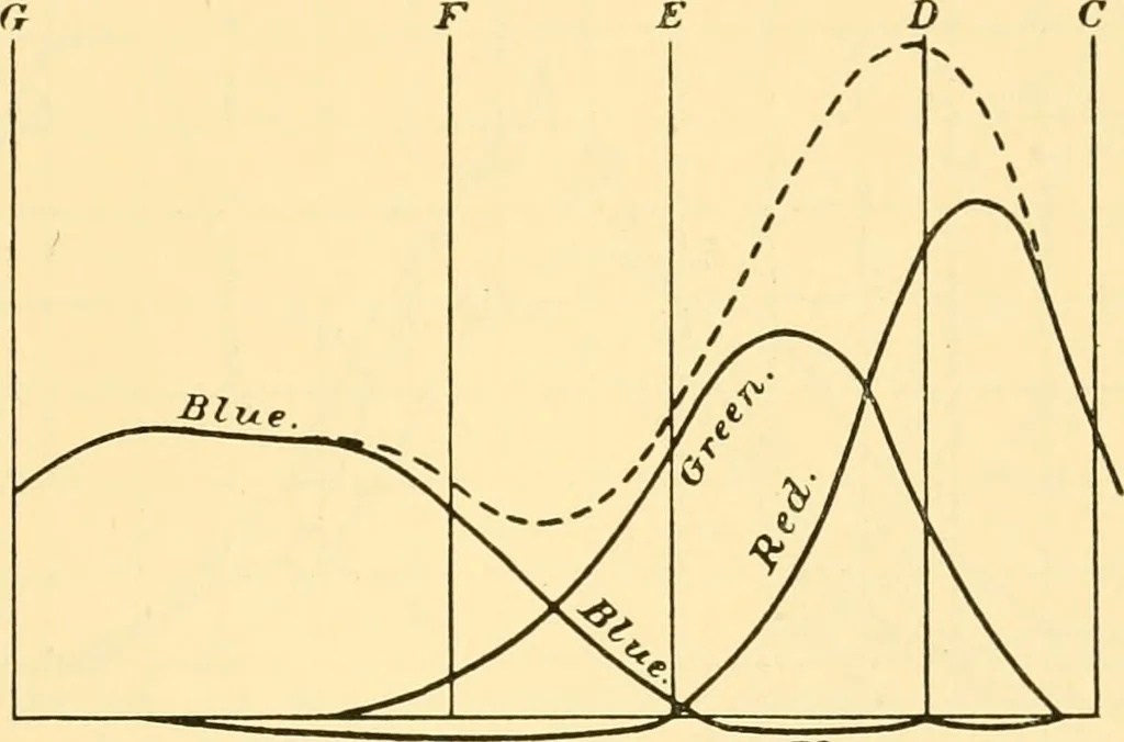 An illustration from An introduction to the study of colour vision, 1915, leaf 238