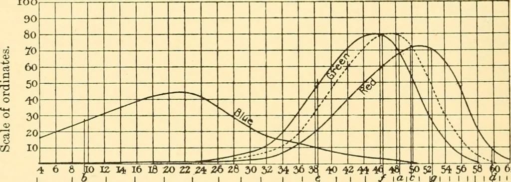An illustration from An introduction to the study of colour vision, 1915, leaf 261
