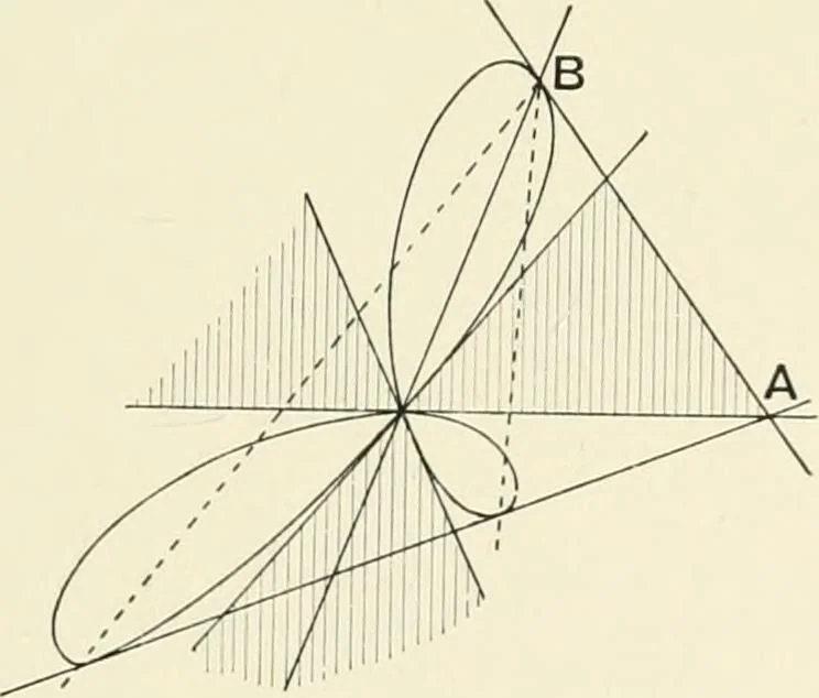 An illustration from An introductory account of certain modern ideas and methods in plane analytical geometry, 1894, leaf 156