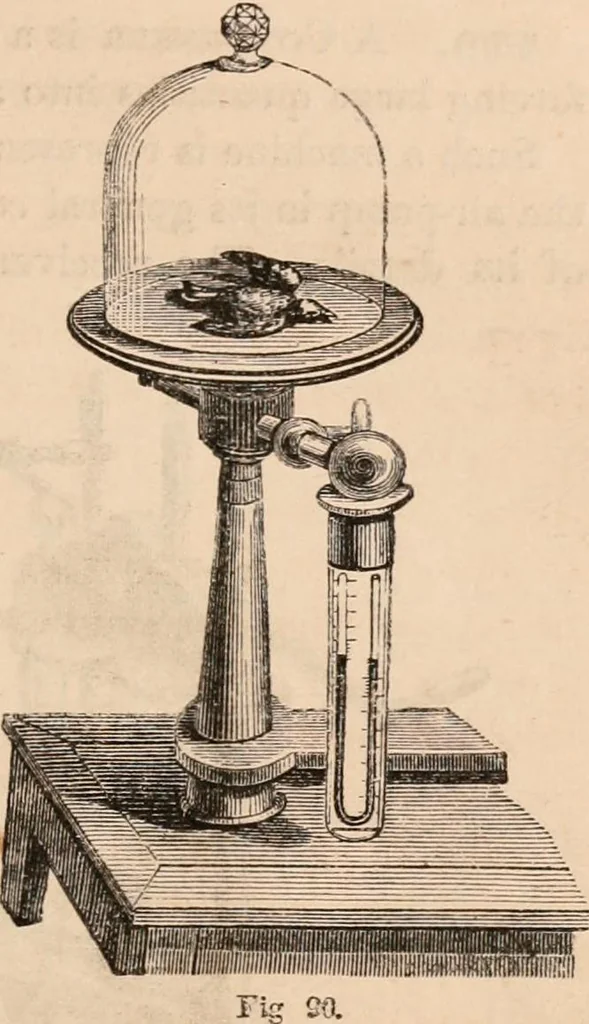 An illustration from Introductory course of natural philosophy for the use of schools and academies. Ed. from Ganot's popular physics. By William G. Peck, 1869, leaf 136